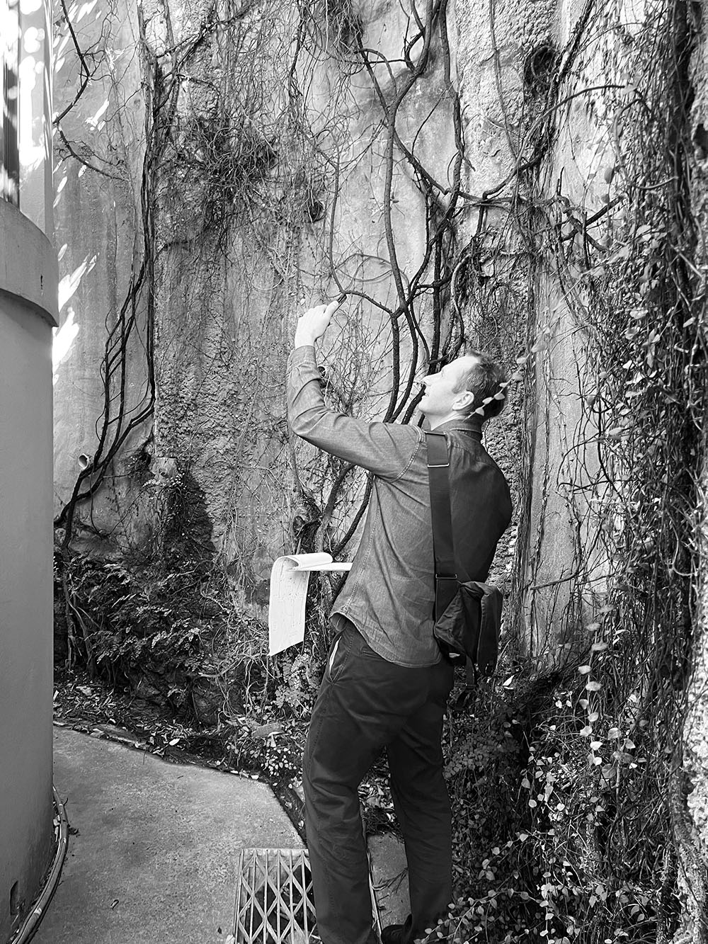 Campbell Architecture Dale Scott